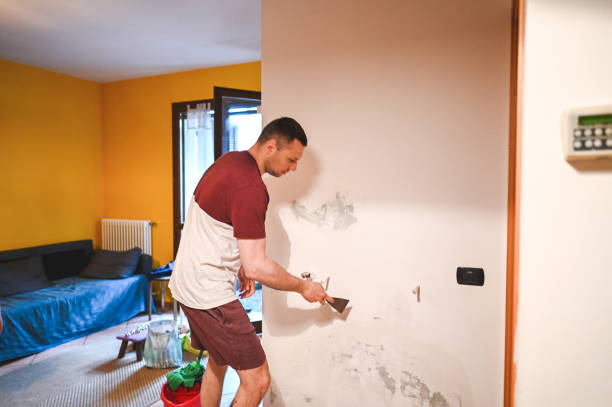 Best Local Mold Removal Service  in Berlin, OH